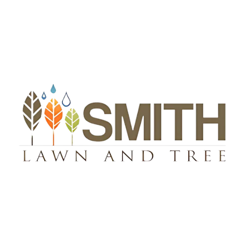 Smith Lawn and Tree